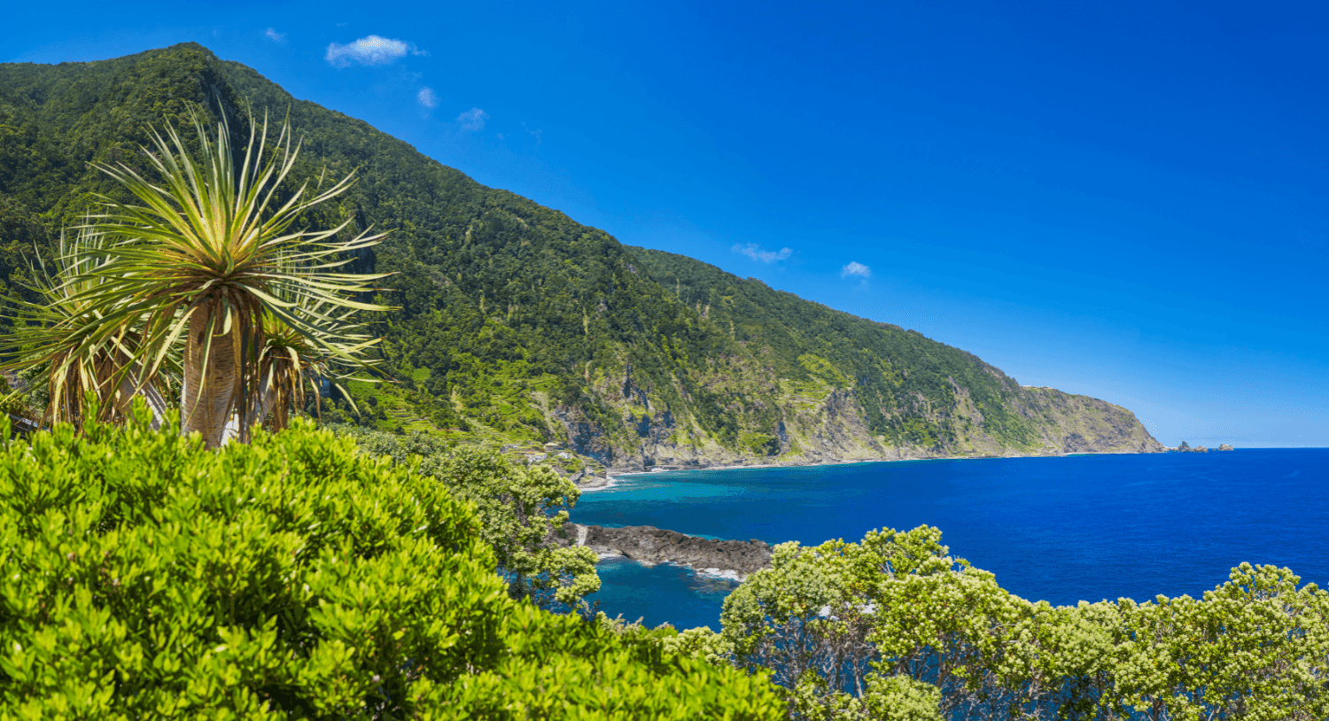 Header Madeira
