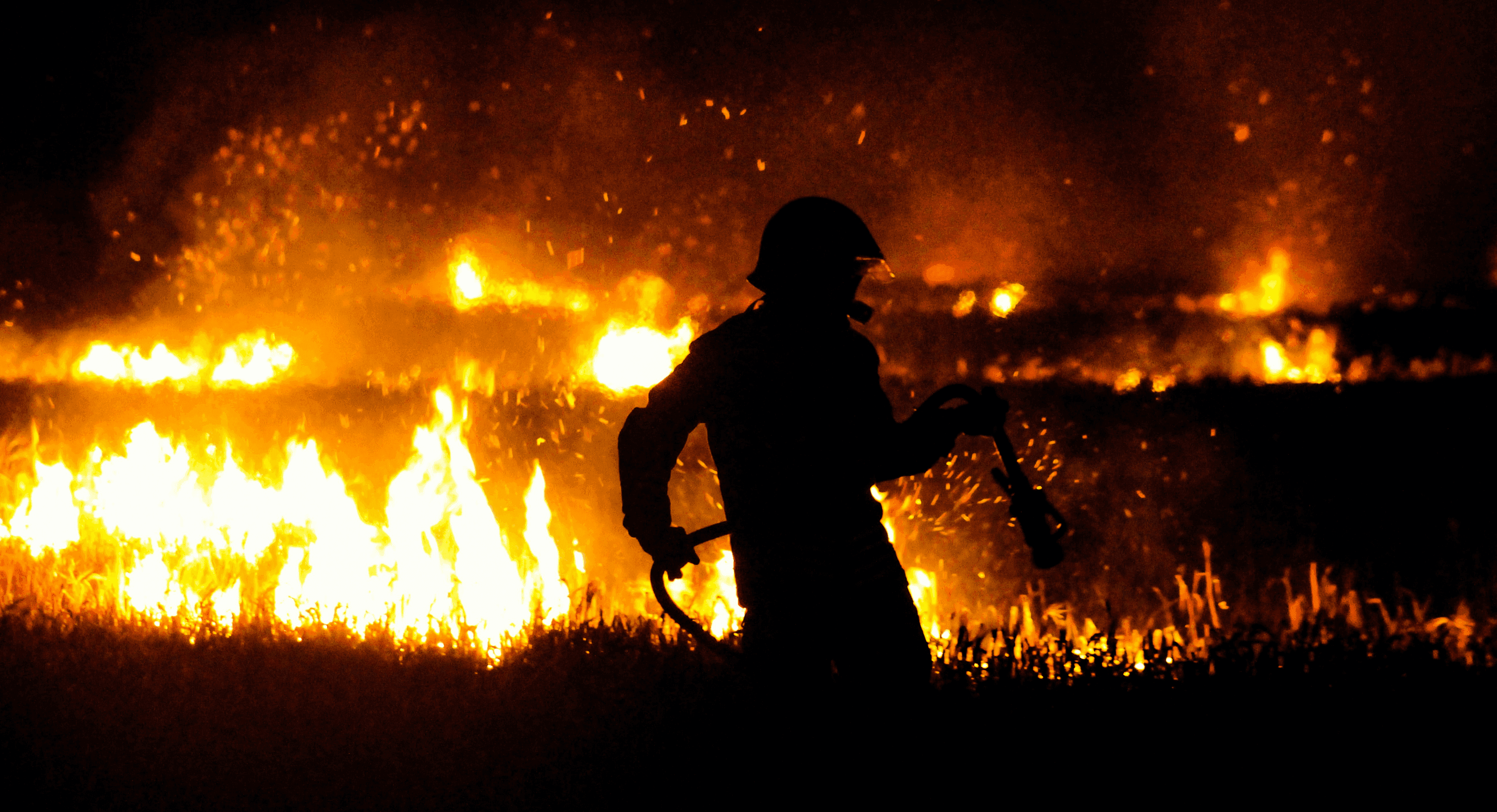 Header nieuwsbericht bosbrand (3).png