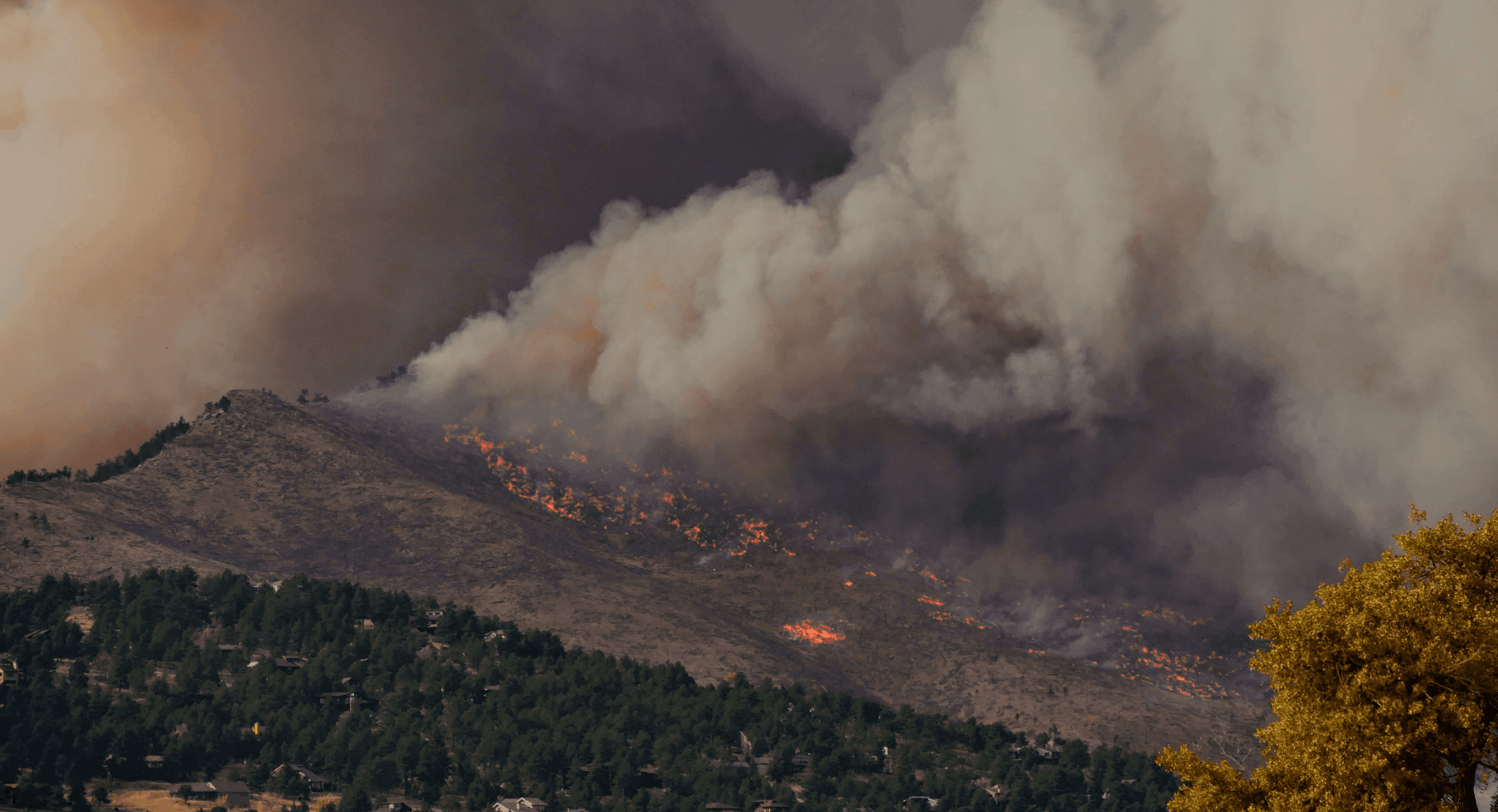Header nieuwsbericht bosbrand (4).png